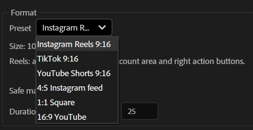 Preset di formato per Reels, TikTok, Shorts, feed e YouTube